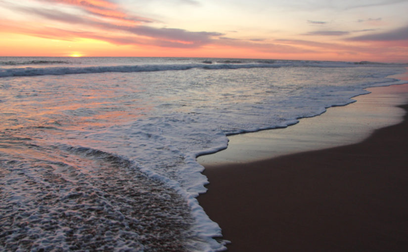 Sunday August 9th – Pentecost 10