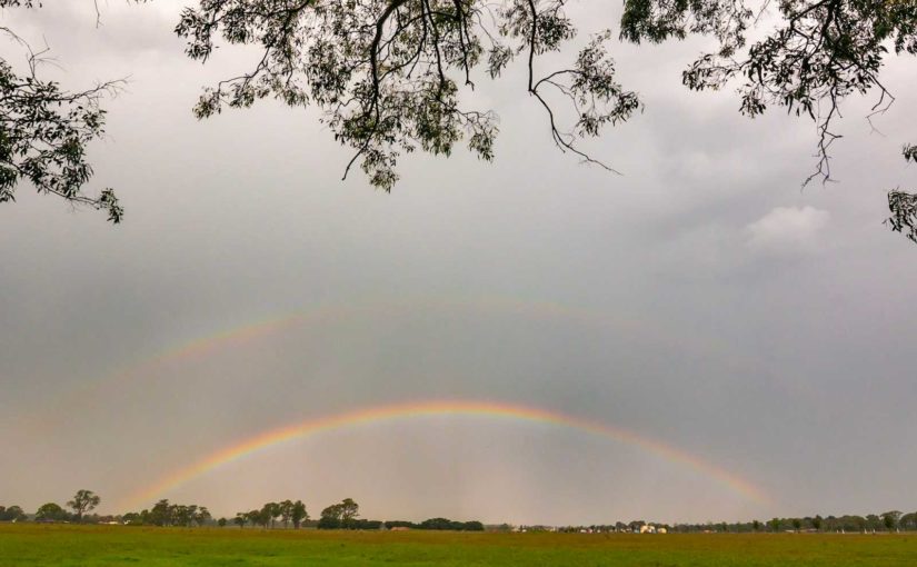 Sunday September 13 – Pentecost 15