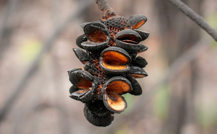 Sunday September 27th – Pentecost 17