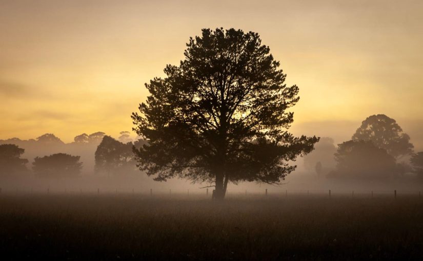 Sunday July 19th – Pentecost 7