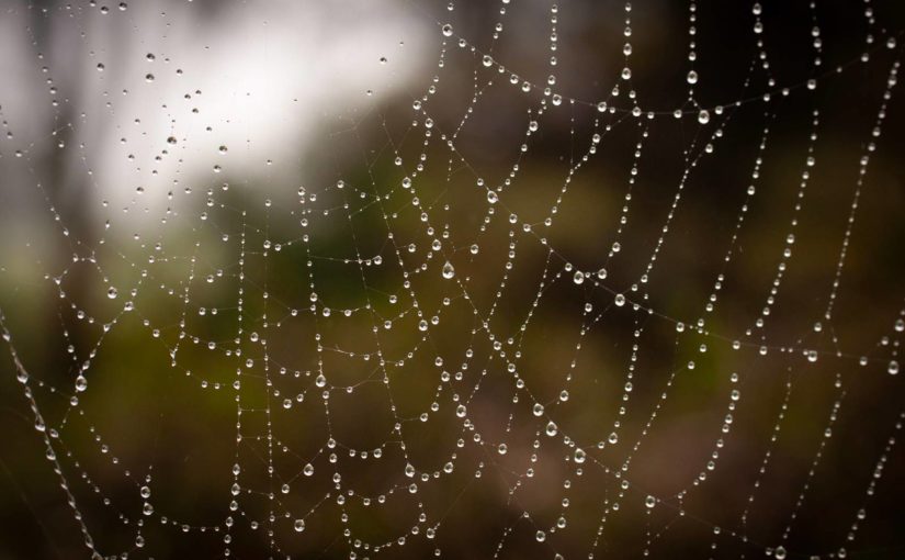 Sunday September 6 – Pentecost 14