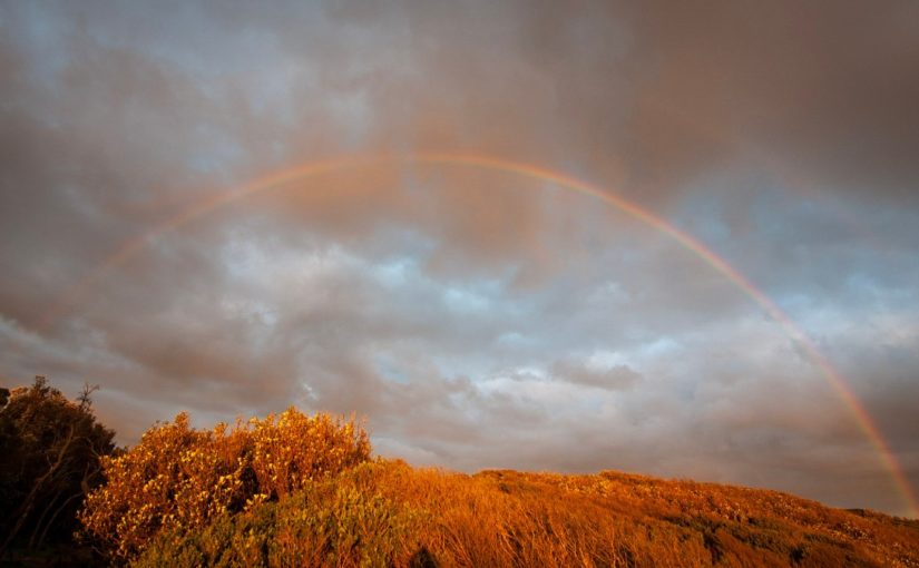 Worship Dec 6 – Advent 2