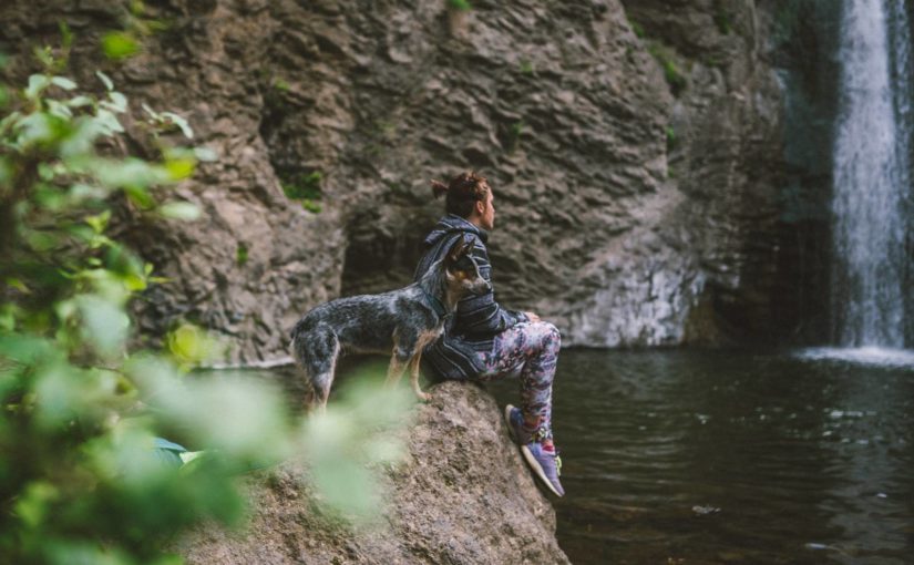 Sunday November 22nd – Reign of Christ