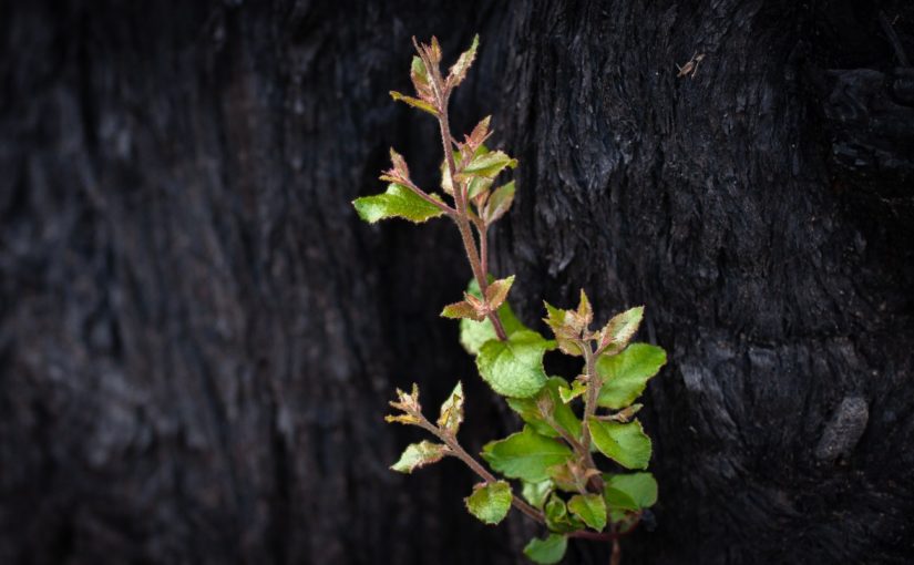 Dec 27 – Christmas 1