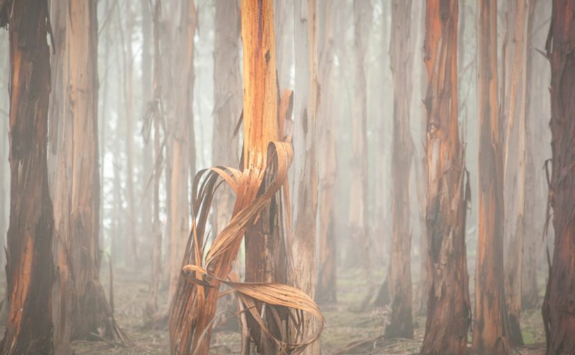 Easter Sunday – Apr 17